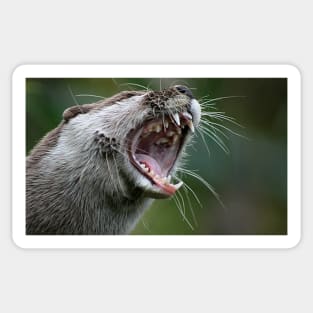 Don`t Mess With The Otter Sticker